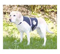 Trixie Safer Life USB Flash Safety Vest, Medium, Black