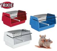 Transport Box Pet Carrier Ideal For Birds & Rat's Large, Assorted Colors