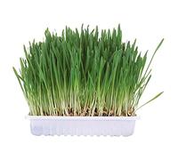 Trixie Small Animal Grass Seed, 100 Gram