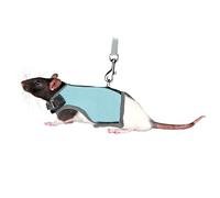 TRIXIE soft harness with 1.20 m lead - for small animals - belly circumference infinitely adjustable between 12 - 18 cm - Velcro and snap fastener - various colours - random selection - 61511