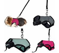 Soft Harness with Leash for Small Animals Assorted Colours - 18-25cm