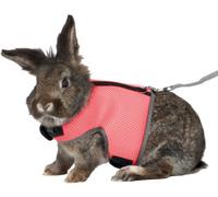 TRIXIE soft harness with leash - fully elastic 1.20 m leash - belly circumference 25 - 40 cm - infinitely adjustable - with Velcro fasteners - various colours - random selection - 61514