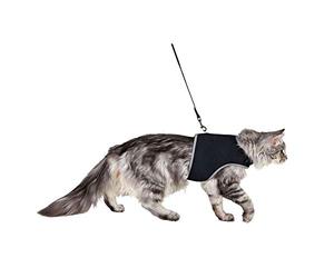 Trixie Softgeschirr mit Leine, Katze, XL, 36-54 cm, 1,20 m, schwarz