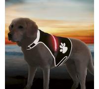 Trixie USB Flashing Safety Neoprene Dog Vest