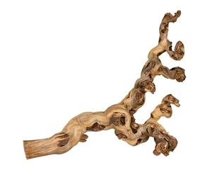 TRIXIE water-jetted vine - ideal for climbing - reptiles, birds, rabbits and small rodents - between 55 and 75 cm - natural products may vary in size and shape - 1 piece - 76171
