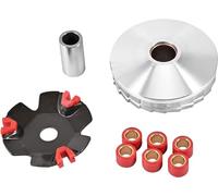Trkimal High Performance Racing Variator Kit with 6.5 gram Copper Roller Weights for Chinese Scooter Moped ATV Go Kart Taotao GY6 50cc 80cc 1P39QMB 1P47QMD (GY6-50/80)