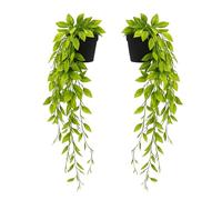 TRNZ 2 pack Fake Plants Fake Hanging Plants Artificial Plants Indoor Outdoor | Room Decor Home decor, Wall Shelf Patio Garden