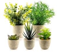 TRNZ Decorative Artificial Plants in Pots Set of 5 - Small Plastic Fake Plants Indoor with Pot - Eucalyptus Rosemary Succulents Mini Faux Plants for Wall Desk Bedroom Decoration