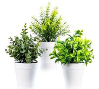 TRNZ Decorative Artificial Plants Indoor in Pots Set of 3 - Plastic Fake Plants Indoor with Pot - Eucalyptus Rosemary Succulents Faux Plants for Wall Desk Bedroom Decoration Office