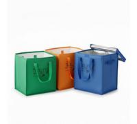 Trolley Bags - Xtra Bag- Tb033 - Set Of 3 Multi-Coloured Non-Woven Reusable Shopping Bags
