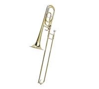 Trombone Instrument Bb F Tenor Trombone Slide Beginner Introductory Level