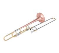 Trombone Instrument Change Pitch Trombone Phosphor Bronze Tenor B Flat To F Trombone Brass Instrument With Case