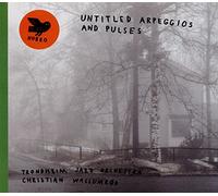Trondheim Jazz Orchestra & Christian Wallumrod - Untitled Arpeggios and Pulses