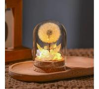 Trongle Magic Dandelion in a Jar, with LED Lights & Real Dandelions for Women, Girlfriends & Girls for Every Occasion, Magische Pusteblume im Glas