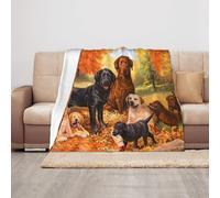 TROONZ Blanket,Anti-Pilling Flannel Blanket Throw Bedspread for Sofa and Bed 100X 125 cm, Fall Labrador Lab Golden Retriever Dog Thanking