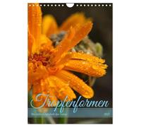 Tropfenformen - Die stille Schönheit der Natur (Wandkalender 2027 DIN A4 hoch), CALVENDO Monatskalender: Detailreiche Makrofotografien von Wassertropfen
