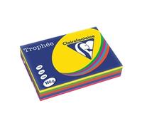 Trophee Card A4 160gm Intensive Assorted (250 Pack) 1713C