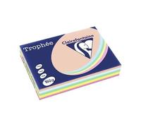 Trophee Card A4 160gm Pastel Assorted (Pack of 250) 1712C