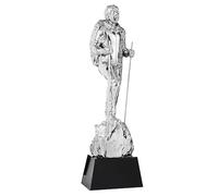 Trophies Hiking Mountaineering Trophy Outdoor Climbing Cross-country Competition Championship Trophy Mountaineer Honor Trophy (Color : Silver, Size : 8 * 28cm)