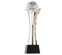 Trophies, Medals Awards Volleyball Game Trophy Champion 2nd Place 3rd Place Trophy Volleyball Winners Trophy Volleyball Team Tournament Trophy Sporting Event Memorabilia