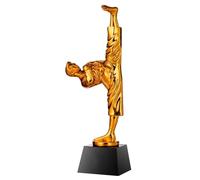 Trophies Taekwondo Championship Gold, Silver And Bronze Trophies Martial Arts Fighting Competition Award Honorary Trophy Taekwondo Club Souvenir Gifts (Color : Copper, Size : 8 * 29cm)