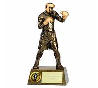TROPHIESPLUSMEDALS 3D Gold Boxing Action Resin Trophy - Impressive Design | 24cm | Sports Achievement Award for All Ages