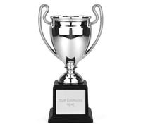 TROPHIESPLUSMEDALS Classic Silver Champion Trophy Cup - 19.5cm, Large Winners Trophy for Sports and Leagues - Weighted Plastic Trophy Award on a Black Base with Personalised Engraving