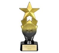 TROPHIESPLUSMEDALS Personalised Gold & Black Star Trophy - Premium Award, Free Engraving - 18cm - Kids Party, Sports & School Reward