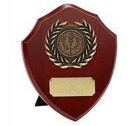 TROPHIESPLUSMEDALS Triumph Gold Laurel Wooden Presentation Shield - Self-Standing, Free Engraving | 10cm | Achievement Recognition