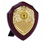 TROPHIESPLUSMEDALS Triumph Gold Presentation Shield - Self-Standing Wooden Display, Free Engraving | 10cm | Achievement Recognition