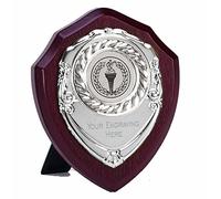 TROPHIESPLUSMEDALS Triumph Silver Presentation Shield - Self-Standing Wooden Display, Free Engraving | 10cm | Achievement Recognition