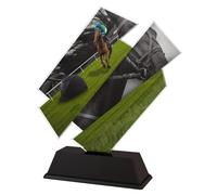 Trophy Monster Artistic Horse Racing Award Free Engraved Plate | for Clubs & Equestrian | Made from Printed Acrylic (5 sizes 150mm-190mm)