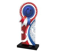 Trophy Monster Equestrian Horse Shoe Award Red/White/Blue Rosette | Free Engraved Plate | Bulk Trophies Deal | for Events & Company | Made from Printed Acrylic (3 sizes) (180mm)