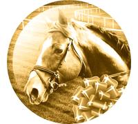 Trophy Monster Horse Racing Rosette Gold or Colour Trophy and Medal Centres Pack of 25x Flat or Acrylic Domed inserts | Emblem or Your OWN LOGO | 25mm or 50mm | (4 pack sizes)