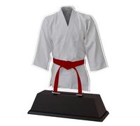 Trophy Monster Martial Arts Red Belt Kimono Jacket Award Free Engraved Plate | Buy in 5 Sizes (100mm-195mm) | Buy in 9 Belt Colours | Made from Printed Acrylic