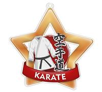 Trophy Monster Pack of 10x Karate Star Star Medals and Ribbons for Events & Schools | Made from Printed Acrylic | 60mm, 70mm, 80mm (Mini-star 60mm, Bronze)