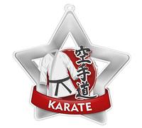 Trophy Monster Pack of 10x Karate Star Star Medals and Ribbons for Events & Schools | Made from Printed Acrylic | 60mm, 70mm, 80mm (Mini-star 60mm, Silver)