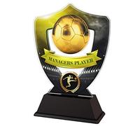 Trophy Monster Yellow and Black Football Managers Player Award with Free Engraved Plate - Printed Acrylic Club Presentation Trophy for Teams Leagues and Events - 2 Sizes (160mm)
