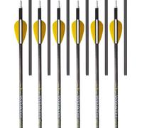 Trophy Ridge Wrath Archery Arrows 30" Length, 400 Spine (Pack of 6)