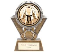 Trophy Superstore Apex Martial Arts Trophy - Free Engraving - 155mm G-60x25