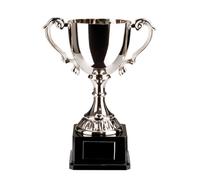 Trophy Superstore Canterbury Nickel Plated Cast Metal Recognition Cup - Free Engraving - 175mm E-45x25