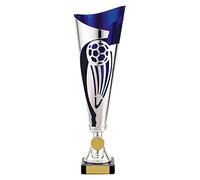 Trophy Superstore Champions Silver & Blue Football Trophy - Free Engraving - 325mm D-60x16