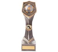 Trophy Superstore Falcon Coach Award Football Trophy - Free Engraving - 240mm G-60x25