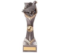 Trophy Superstore Falcon Pigeon Racing Trophy - Free Engraving - 240mm G-60x25