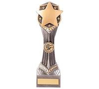 Trophy Superstore Falcon Star Achievement Award Trophy - Free Engraving - 240mm G-60x25