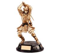 Trophy Superstore Ultimate Samurai Award Trophy - Free Engraving - 200mm B-44x16