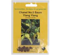 TROPICA Chanel No. 5 Tree - 1 Pkg