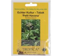 TROPICA Genuine Tobacco - 100 Seeds
