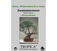 TROPICA Ornamental Pistachio Tree - Indoor Bonsai - 25 Seeds