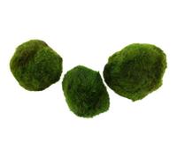 Tropica Plants Aegagropila Linnaei Live Aquatic Mini Plant 3 Moss Balls